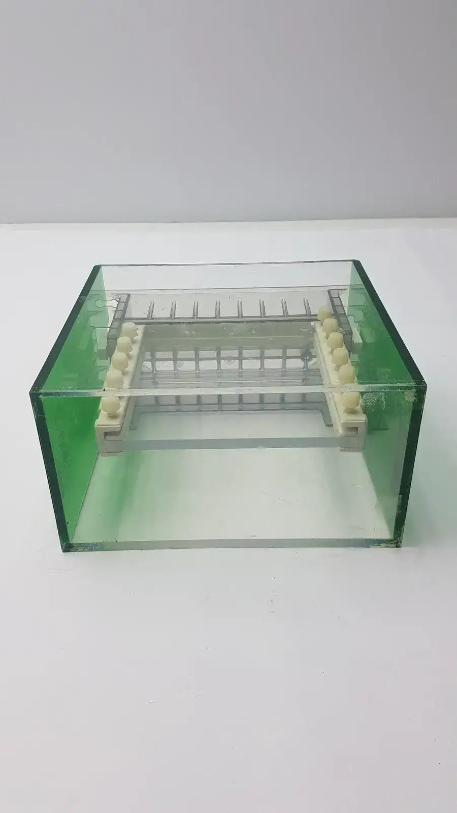 Bio-Rad Protean Dual Vertical Slab Gel Electrophoresis Cell