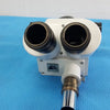 LW Scientific Stereo Microscope Head