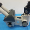 Zeiss 47 50 52 Stereozoom Microscope Eyepieces W10x/25
