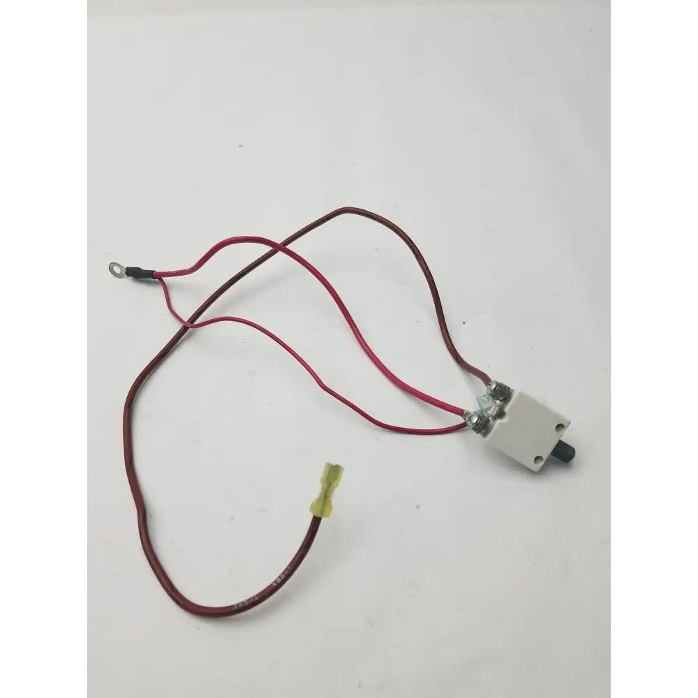 1648-009-070 70A Microswitch with 2 Wire Leads