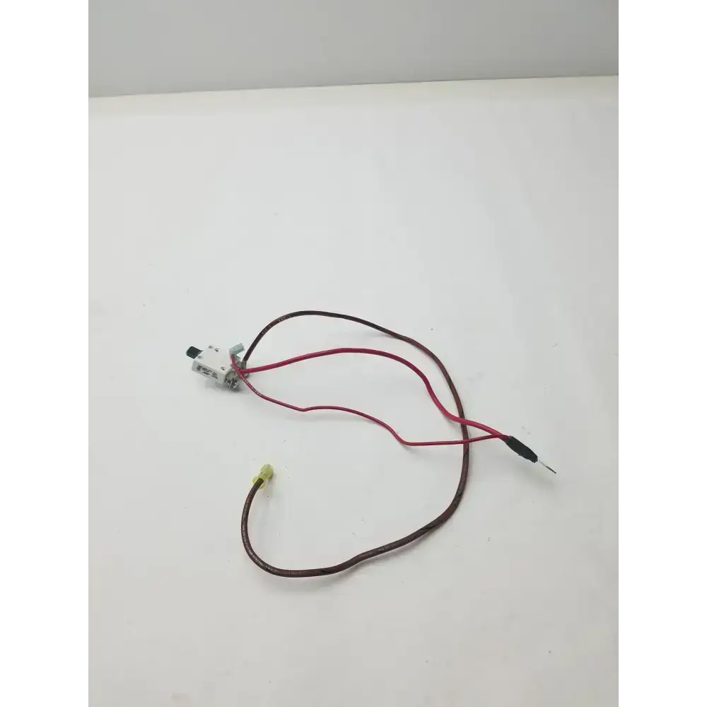1648-009-070 70A Microswitch with 2 Wire Leads