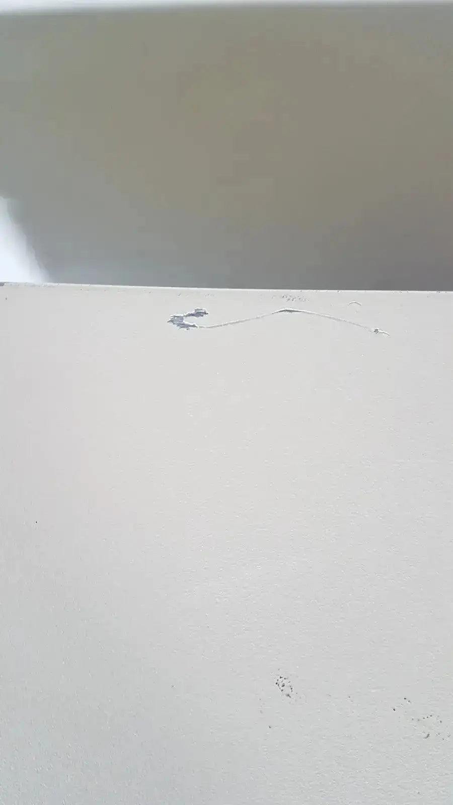 A white wall with a small crack and peeling paint near the top edge displayed beside the bio rad molecular imager fx