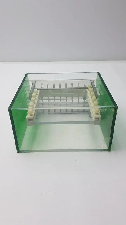 Bio-Rad Protean Dual Vertical Slab Gel Electrophoresis Cell