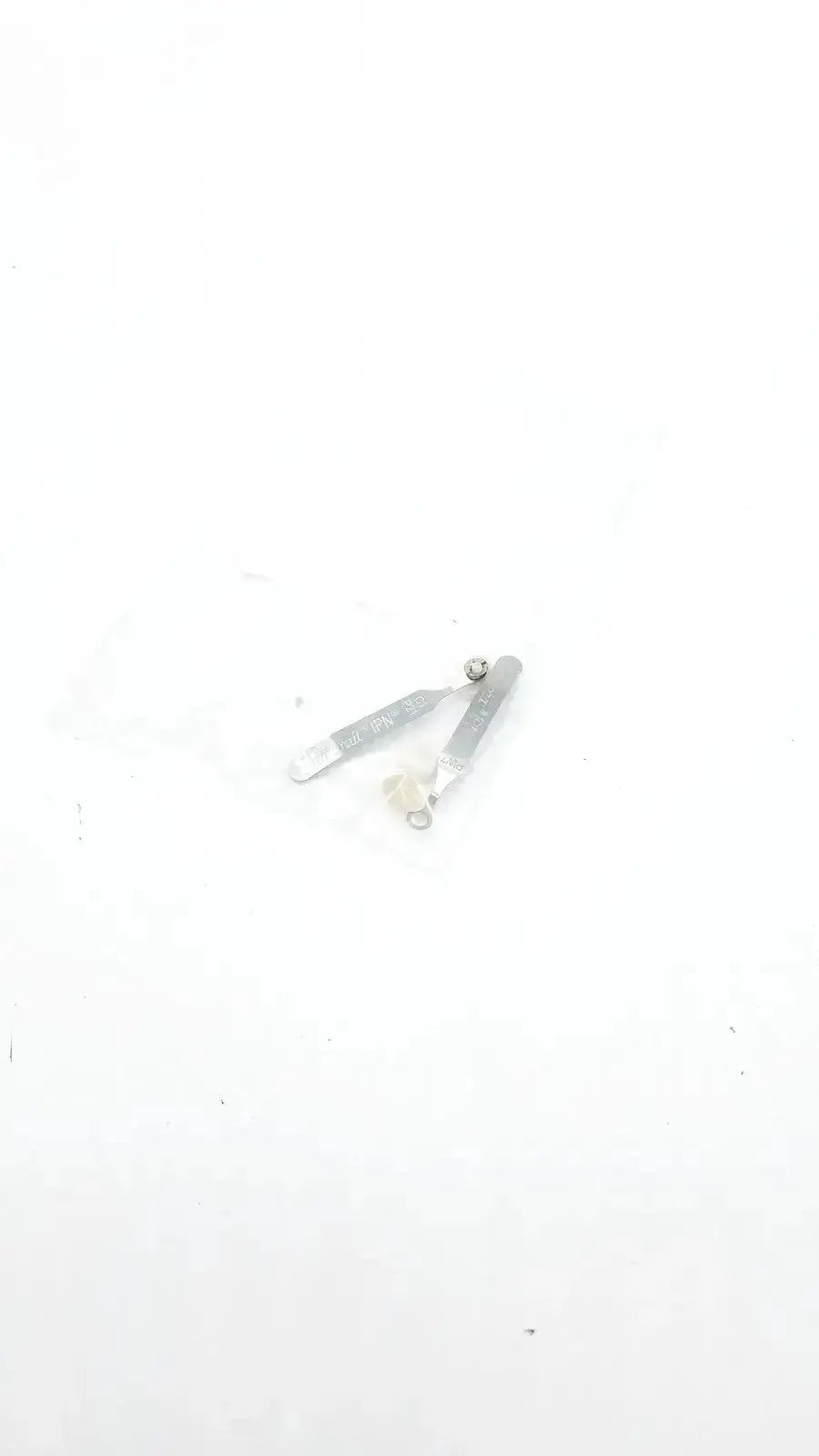Silver metal tool with flat handle and small circular end used for damaged teeth portrait ipn c1 p21 examination