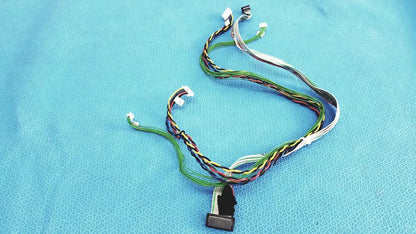 E43842 Ribbon Cable Wiring Harness with JST Connectors
