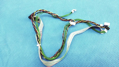 E43842 Ribbon Cable Wiring Harness with JST Connectors