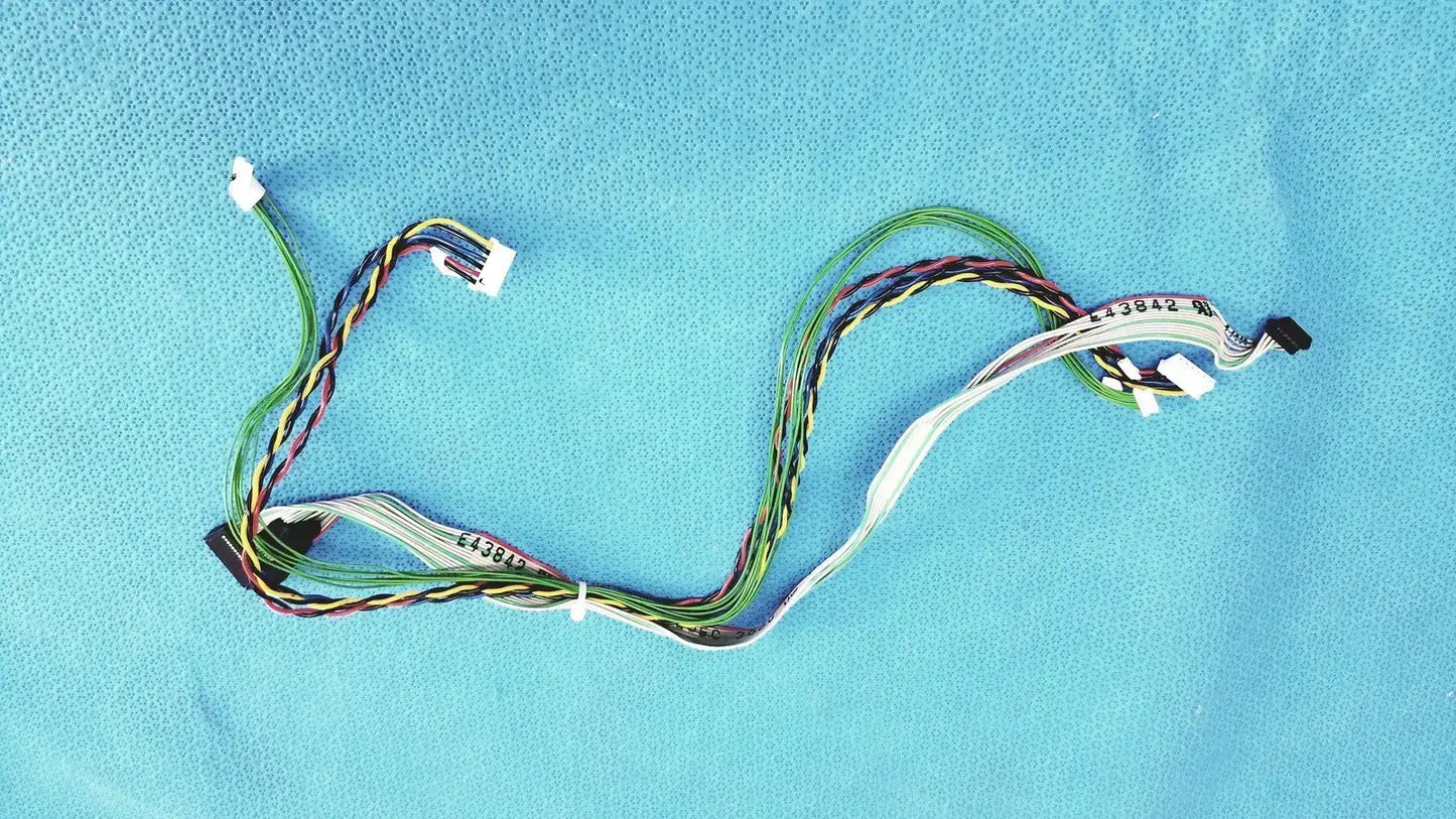 E43842 Ribbon Cable Wiring Harness with JST Connectors