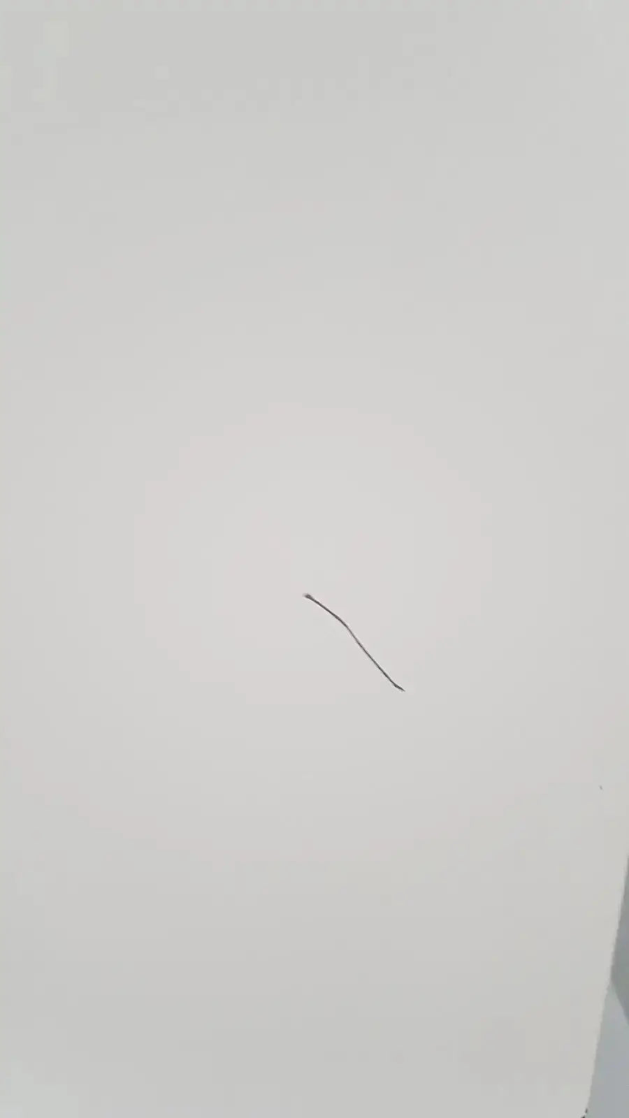 A single dark hair strand on a white surface beside the enthermics blanket warming cabinet dc250 panel