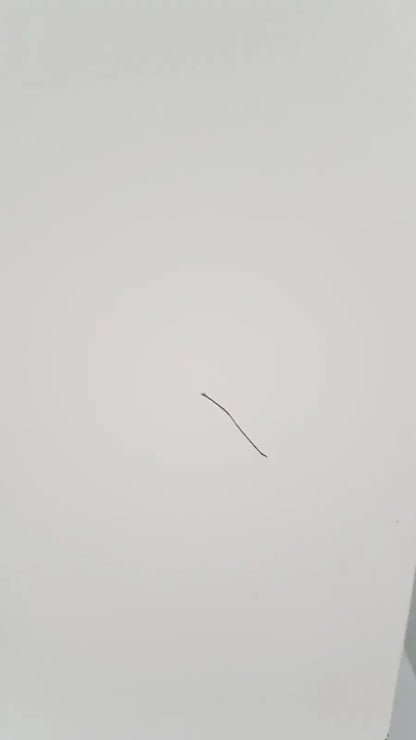 A single dark hair strand on a white surface beside the enthermics blanket warming cabinet dc250 panel