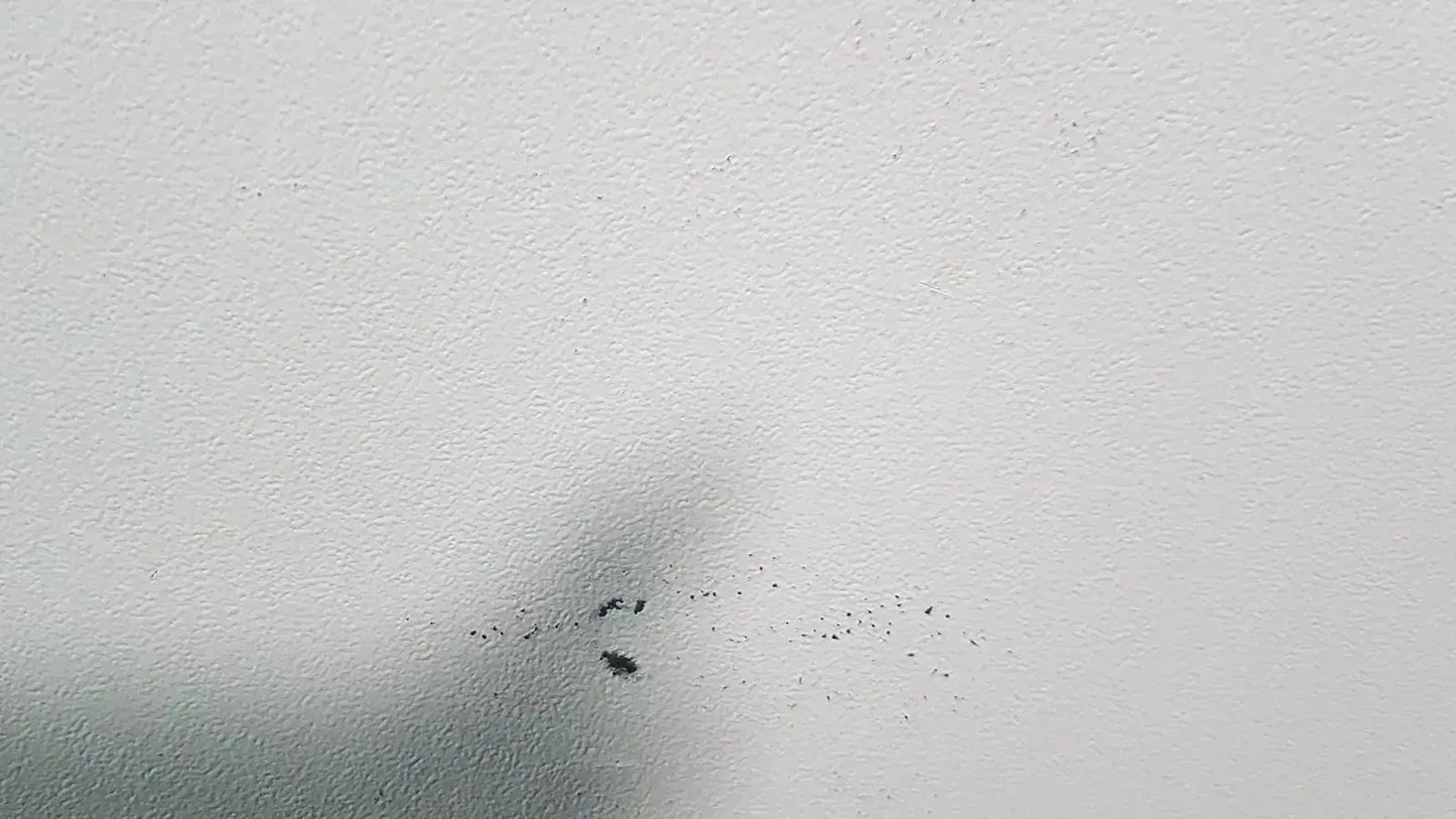 A small cluster of dark specks on a textured white surface related to excellent spex 6850 freezer mill for biomedical evaluation and hospital surplus