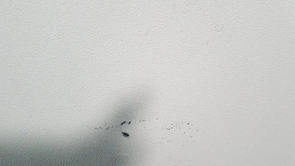 A small cluster of dark specks on a textured white surface related to excellent spex 6850 freezer mill for biomedical evaluation and hospital surplus