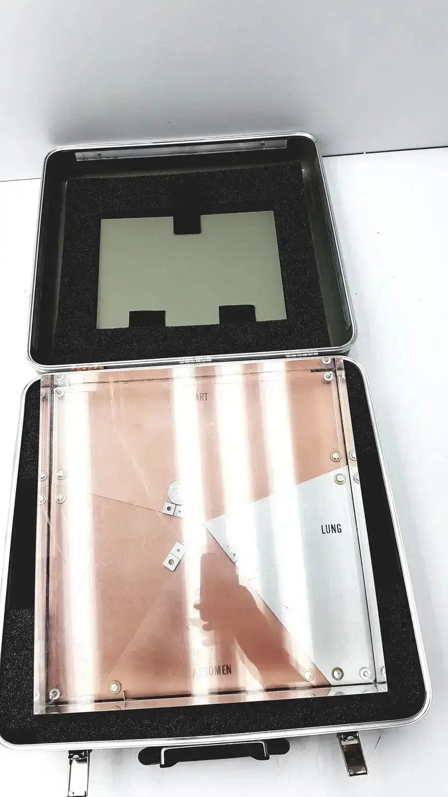 Transparent GE Healthcare cardiovascular phantom with metallic frame and lung specimens in acrylic panels for buy used medical equipment