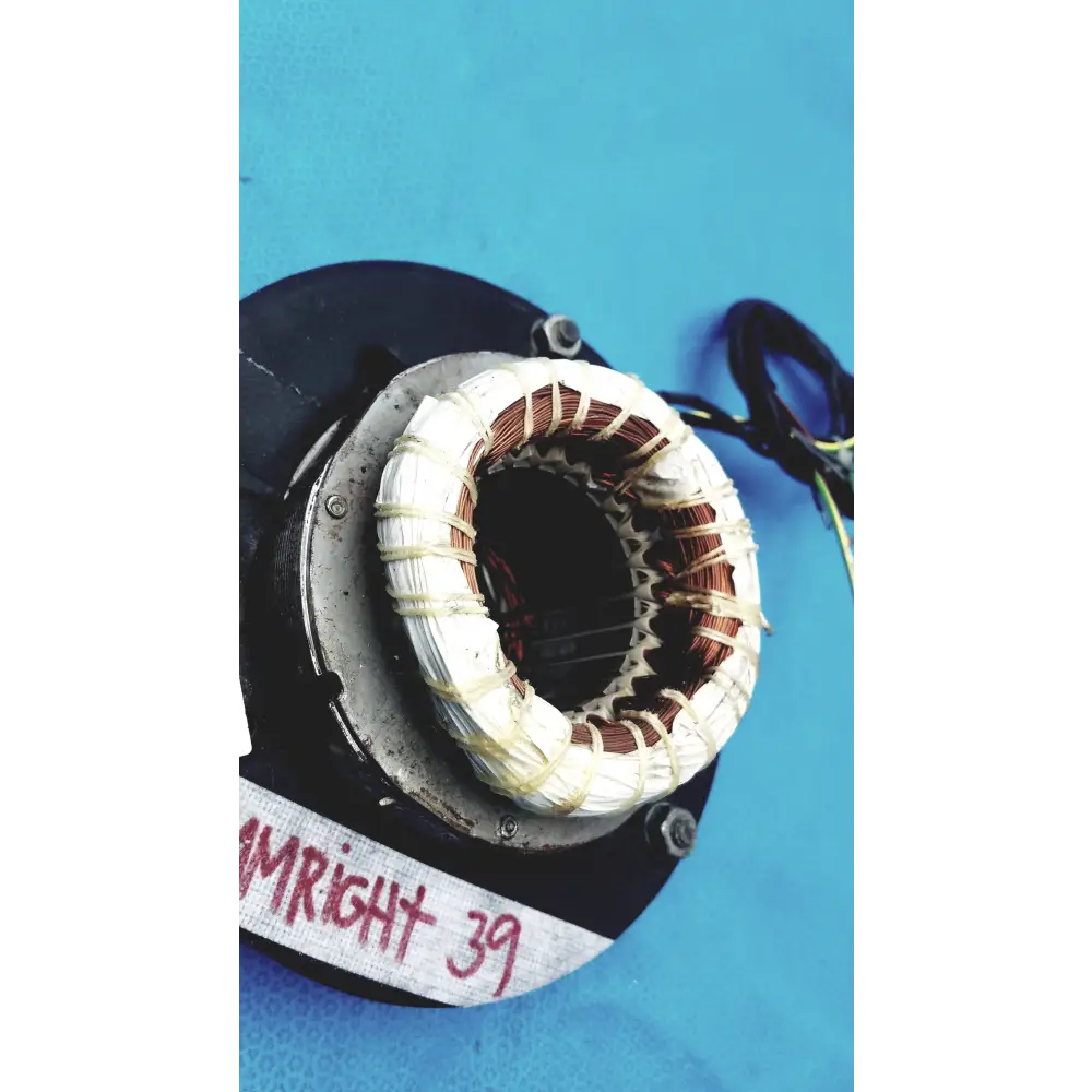 Hanning Elektro-Werke ZC17CD2 2800 Rpm Centrifuge Motor - motor