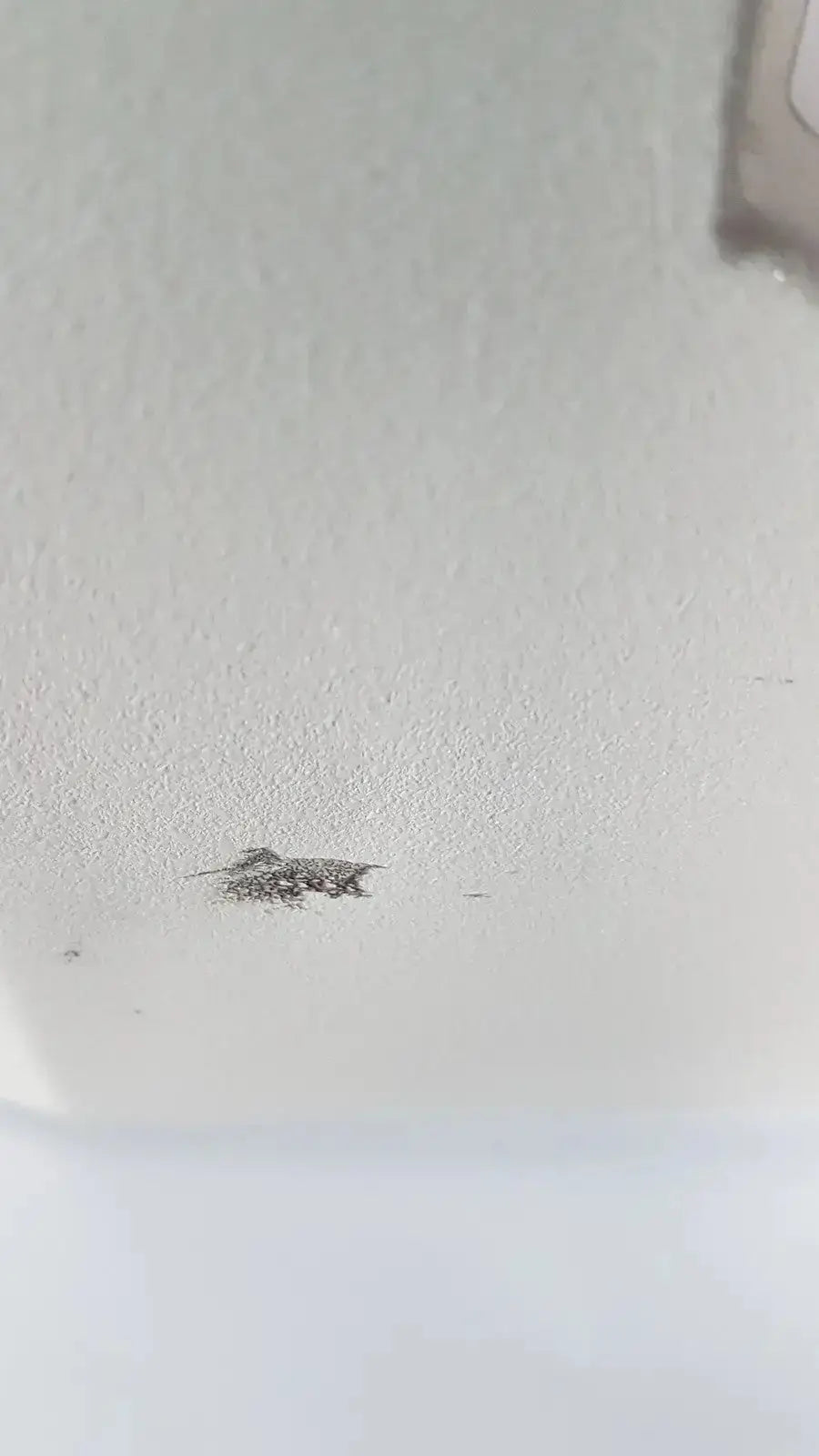 A small dark gray debris speck on a smooth white surface of the hologic thinprep 2000 processor for biomedical evaluation and reuse medical purposes