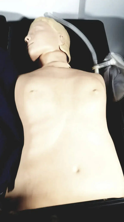 Laerdal Resusci Anne Carrying Case and Accessories - Manikin