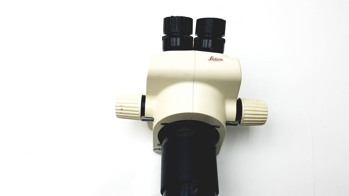 Leica GZ6E Stereo Zoom Microscope - Head