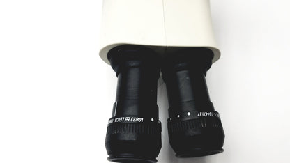 Leica GZ6E Stereo Zoom Microscope - Head