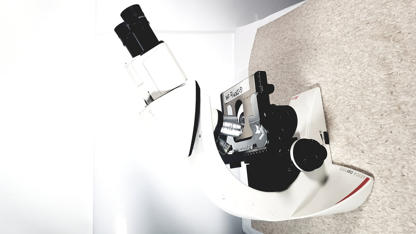 Leica Microscope Model DM1000 with Heads