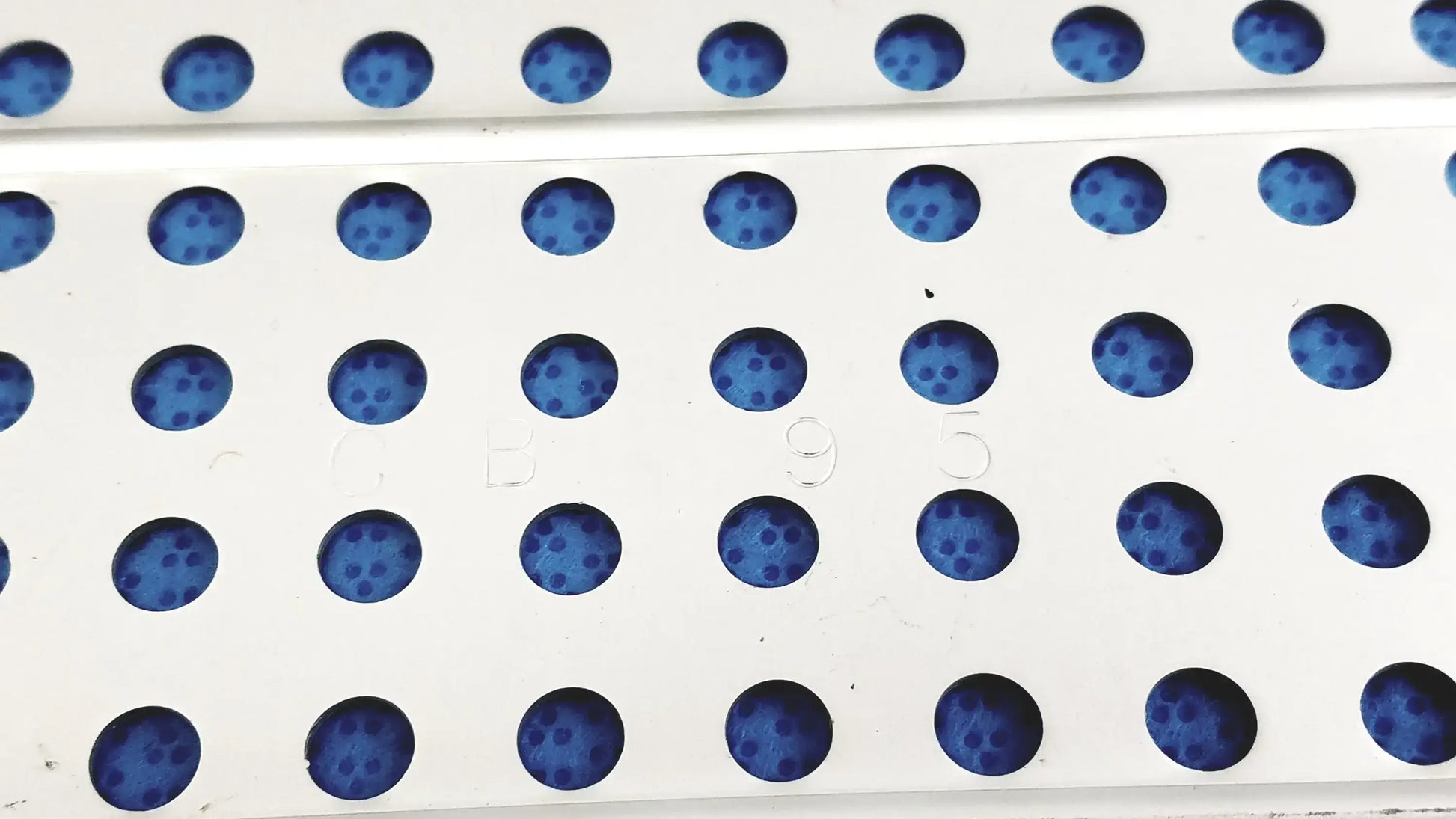 Lot of - 2 Sterilization Tray Inserts