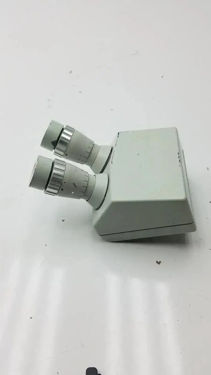 Light gray microscope binocular head p16x with metallic adjustment rings for precise dual eyepiece viewing