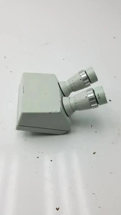 Light gray microscope binocular head p16x with dual eyepieces and metallic adjustment rings for precision viewing