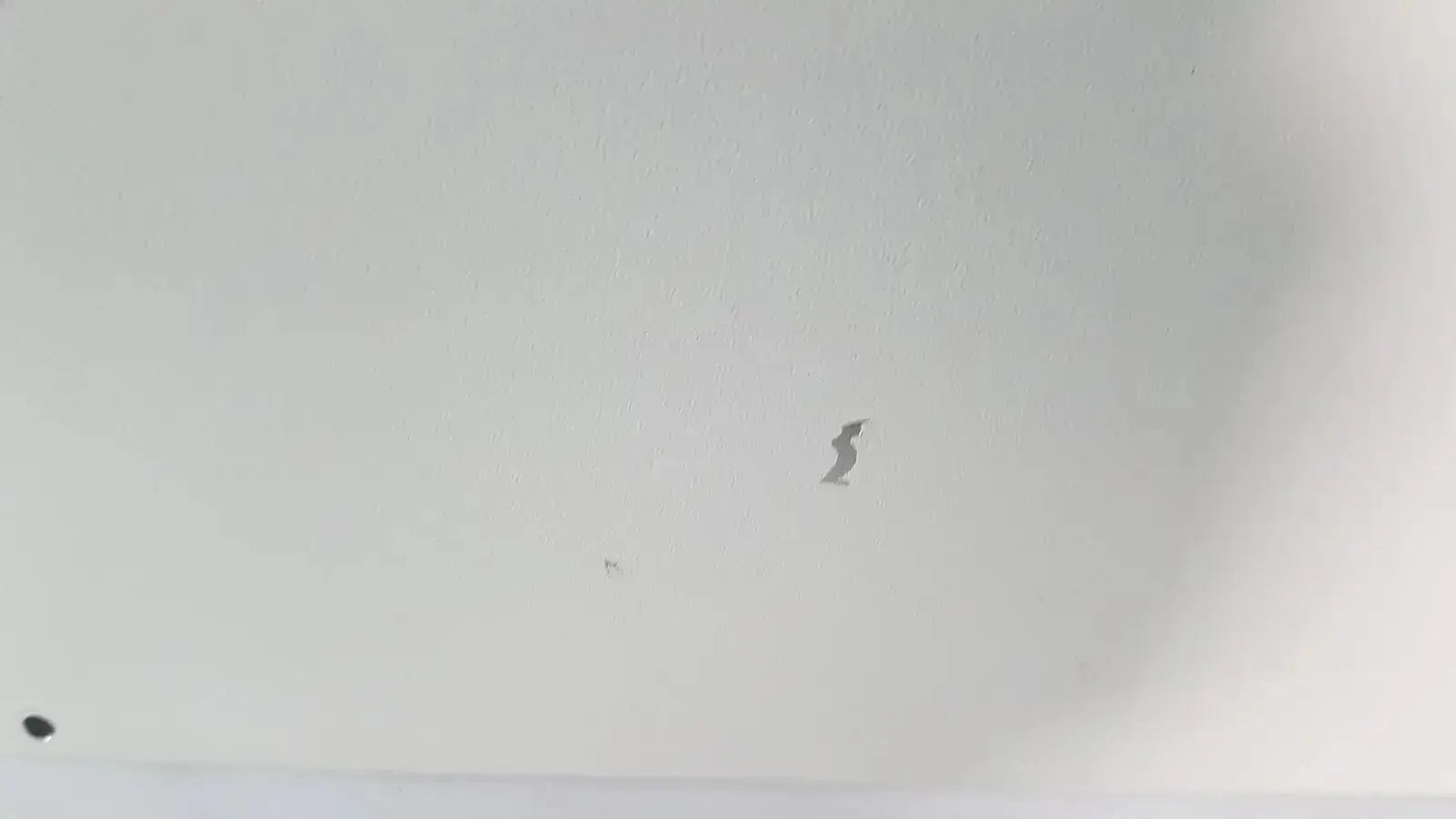 A small dark grayish brown bird shaped sticker on a white ceiling surface with netzsch gmbh sta 409 pc luxx simultaneous thermal analyzer