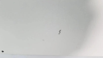 A small dark grayish brown bird shaped sticker on a white ceiling surface with netzsch gmbh sta 409 pc luxx simultaneous thermal analyzer