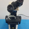 Nikon Eclipse E200 Binocular Microscope – Advanced Laboratory Optical System