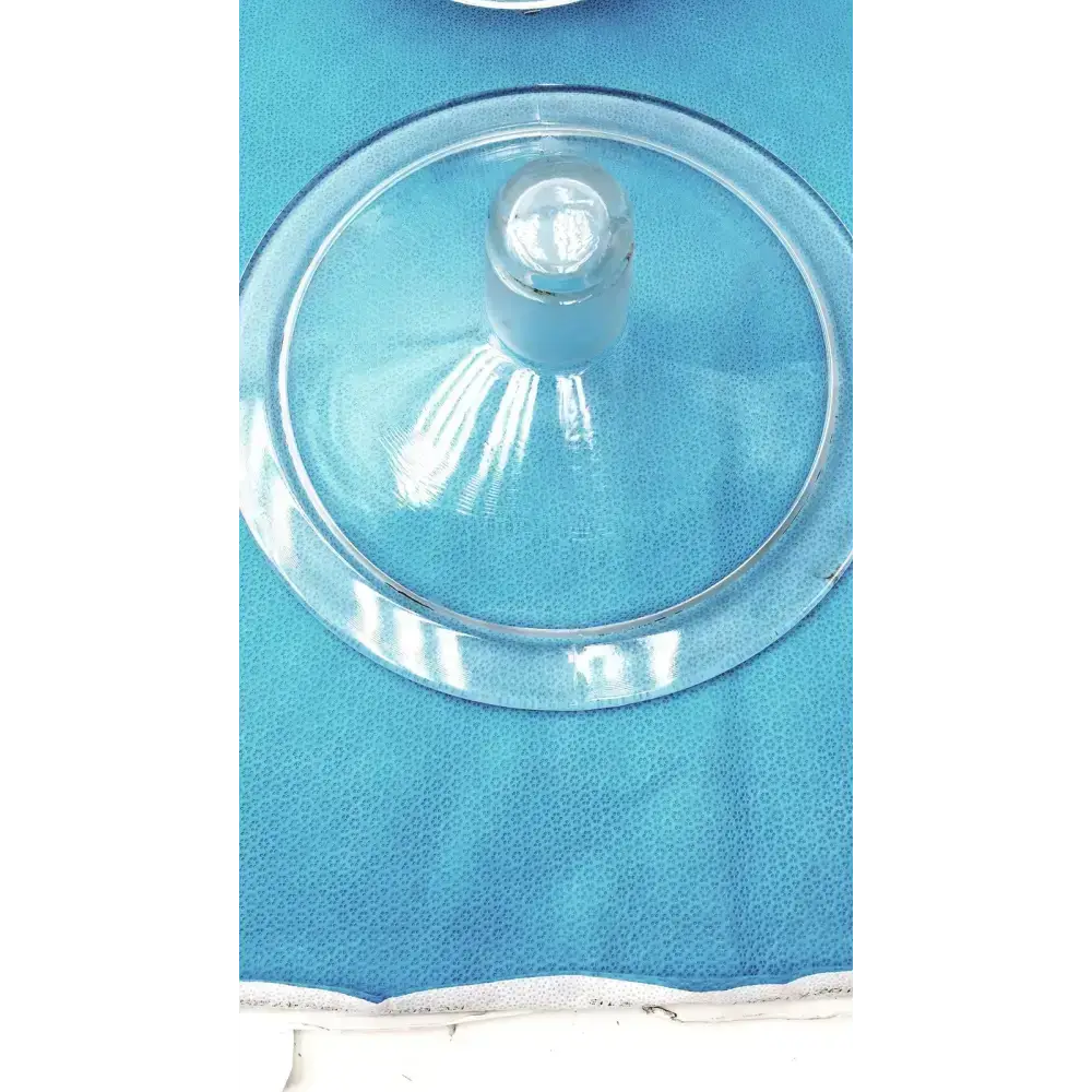 Pyrex 9’’ Vacuum Desiccator Jar with Plastic Canvas Plate