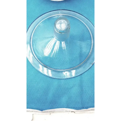 Pyrex 9’’ Vacuum Desiccator Jar with Plastic Canvas Plate