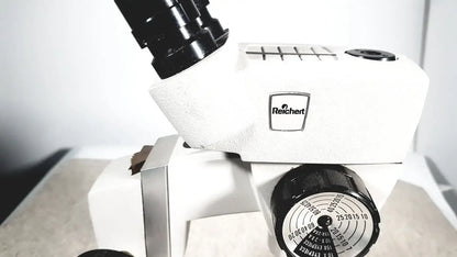 Reichert Microscope Binocular Head 10x W.F