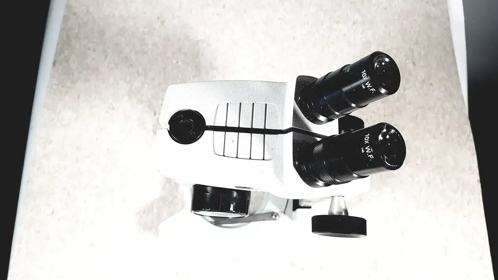 Reichert Microscope Binocular Head 10x W.F