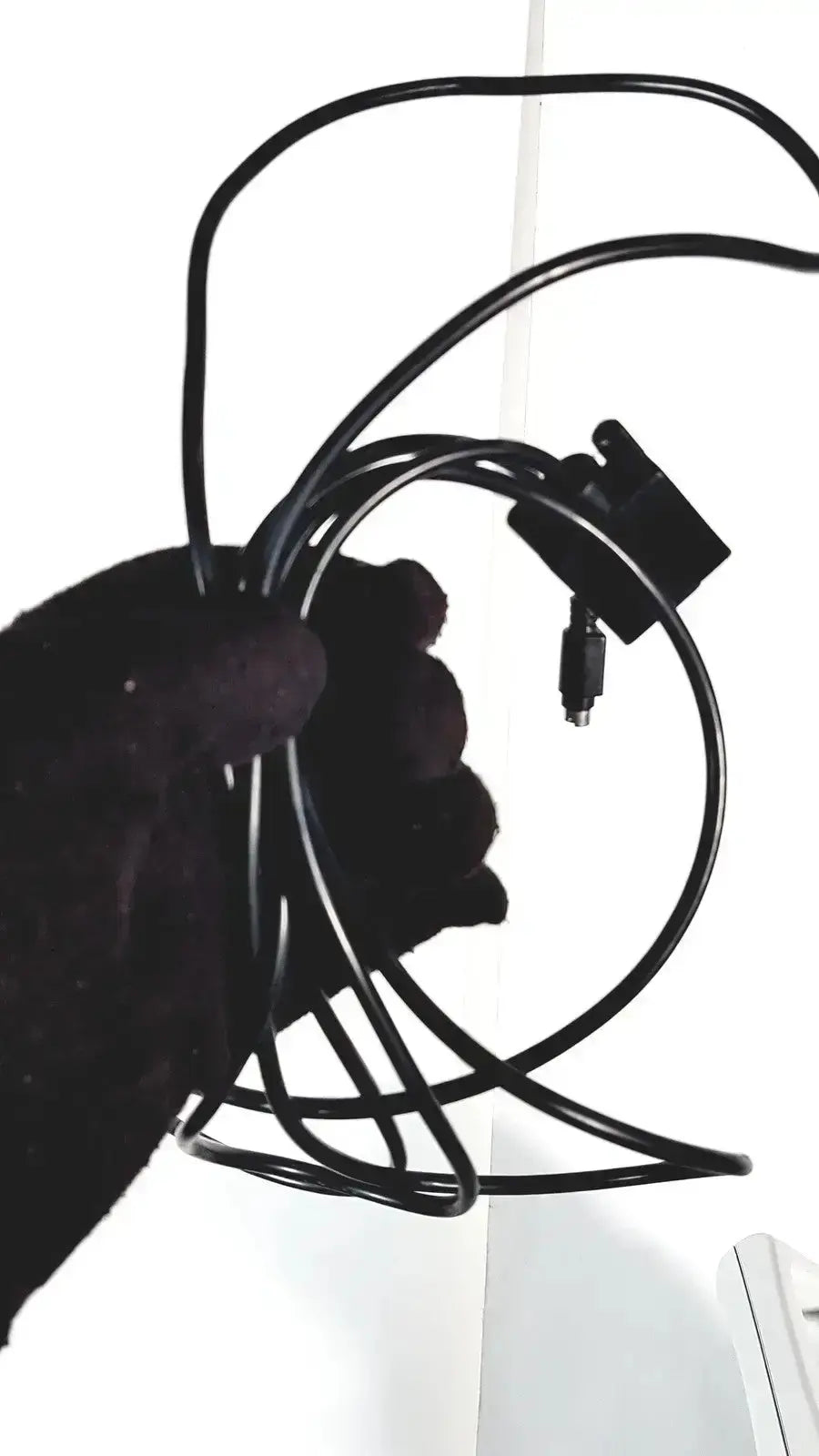 Black coiled cable with rectangular connector and smaller plug for sonosite l38 10-5 mhz linear transducer device