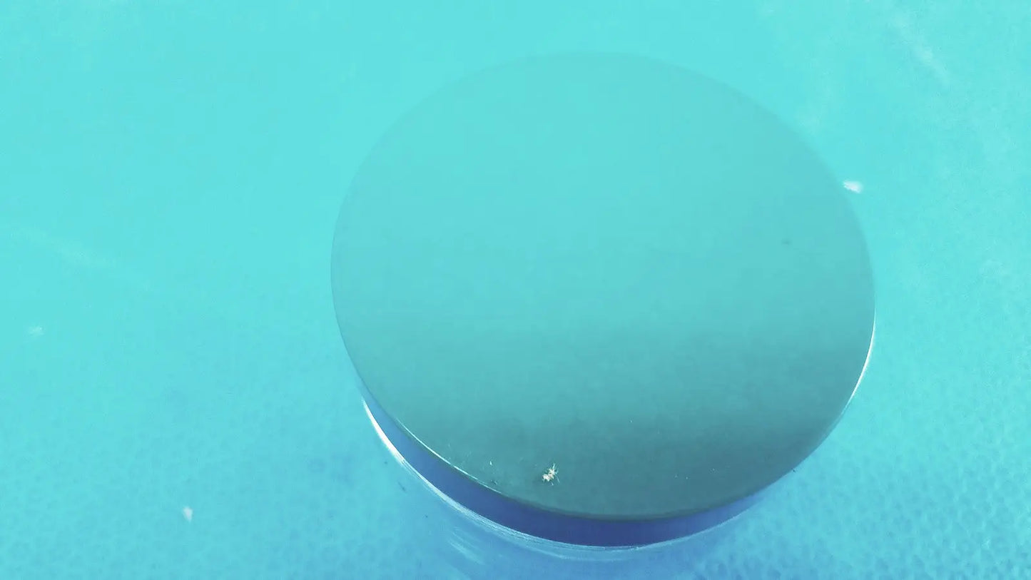 Straight Round Sided Leak Proof Jar with Plastic Lid 3.5 X 3 In Lot of 6 - Specimen Container