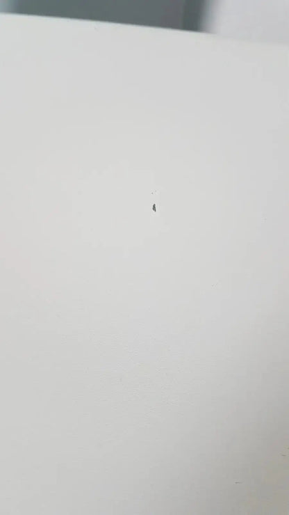 A tiny black speck of dust on a smooth off-white surface inside the thermo scientific heratherm igs60 incubator