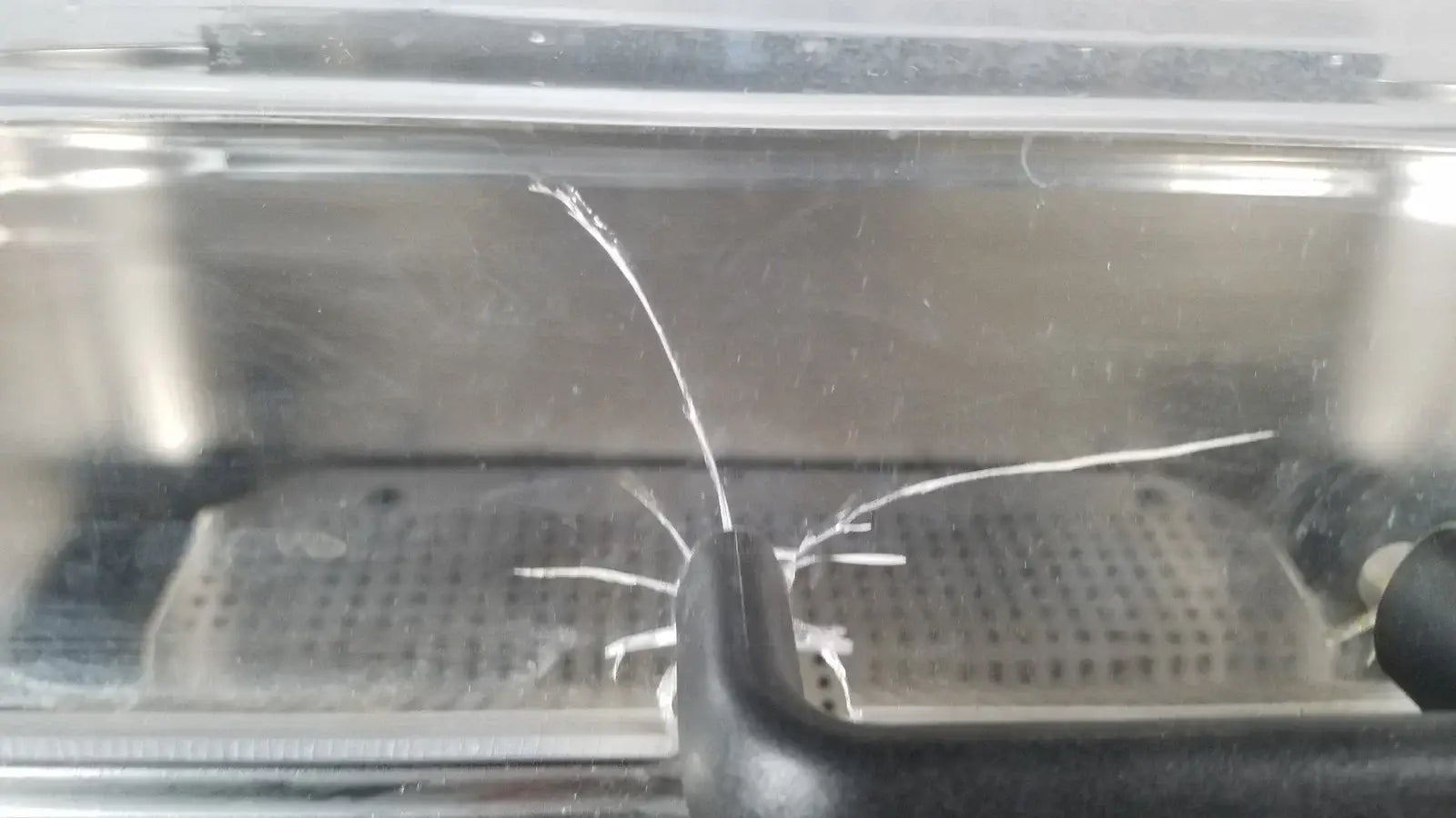 A transparent plastic container with black handle and perforated metal tray in thermo scientific swb25 digital shaker water bath medical equipment